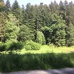 & Wander Gassbachtal