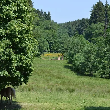 Szálloda & Wander Gassbachtal