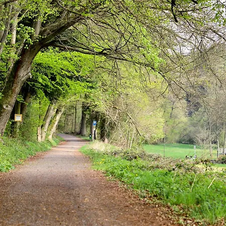 Szálloda & Wander Gassbachtal Grasellenbach