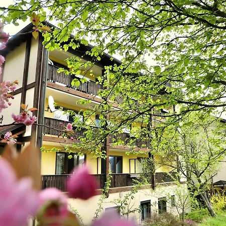 & Wander Gassbachtal Hotel Grasellenbach