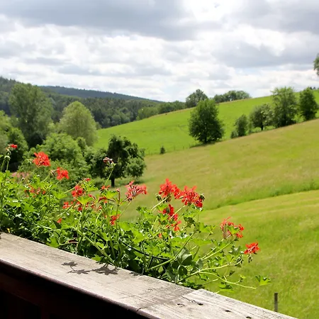 & Wander Gassbachtal Grasellenbach