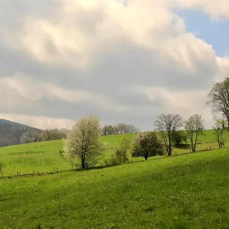 & Wander Gassbachtal Hotel Grasellenbach