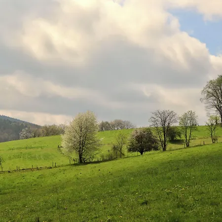 & Wander Gassbachtal Grasellenbach
