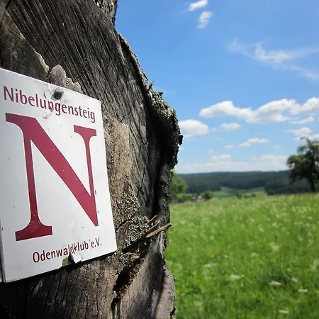 & Wander Gassbachtal Grasellenbach