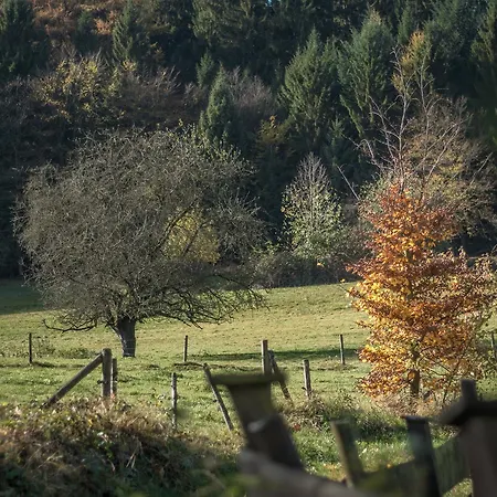 Szálloda & Wander Gassbachtal