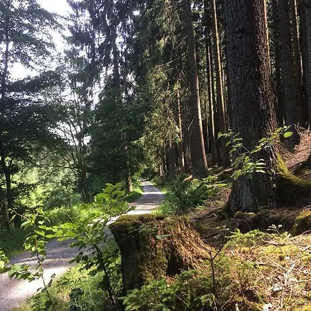 Szálloda & Wander Gassbachtal Grasellenbach