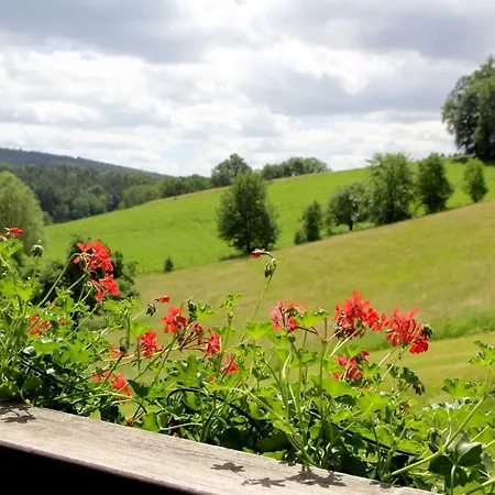 Hotel & Wander Gassbachtal 3*