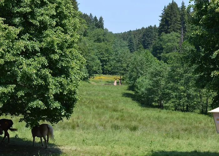 Hotel & Wander Gassbachtal