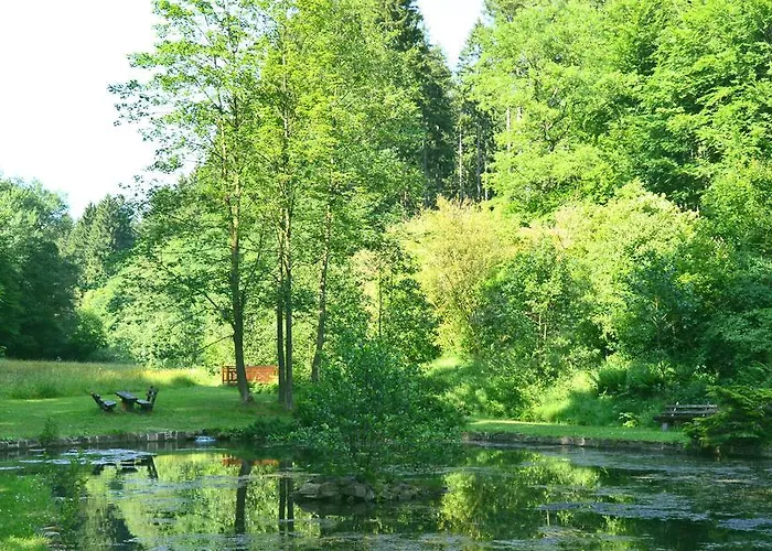 & Wander Gassbachtal Hotel Grasellenbach