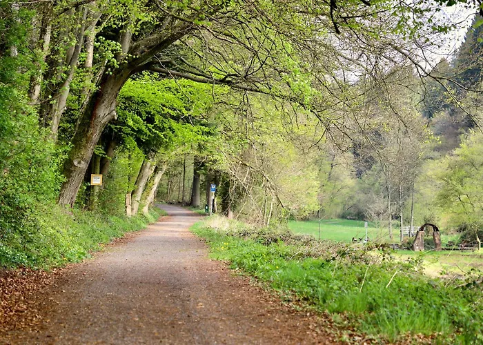 Hotel & Wander Gassbachtal Grasellenbach