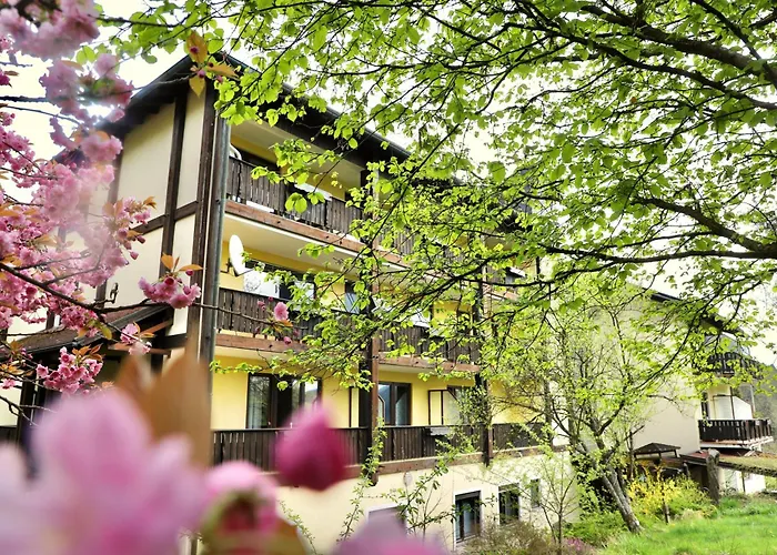 & Wander Gassbachtal Hotel Grasellenbach