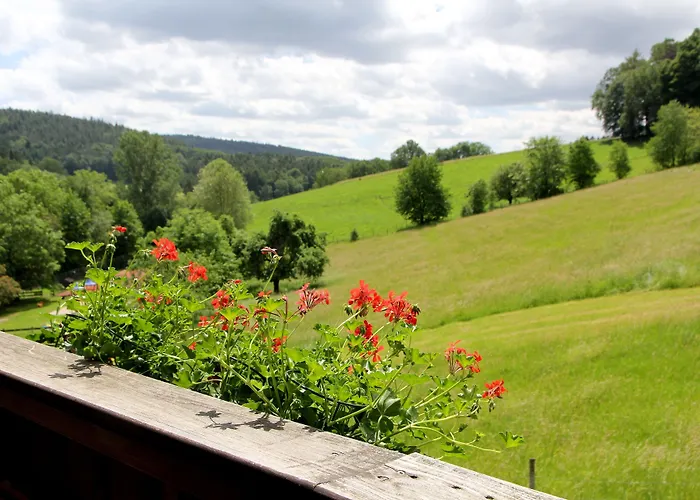 & Wander Gassbachtal Grasellenbach