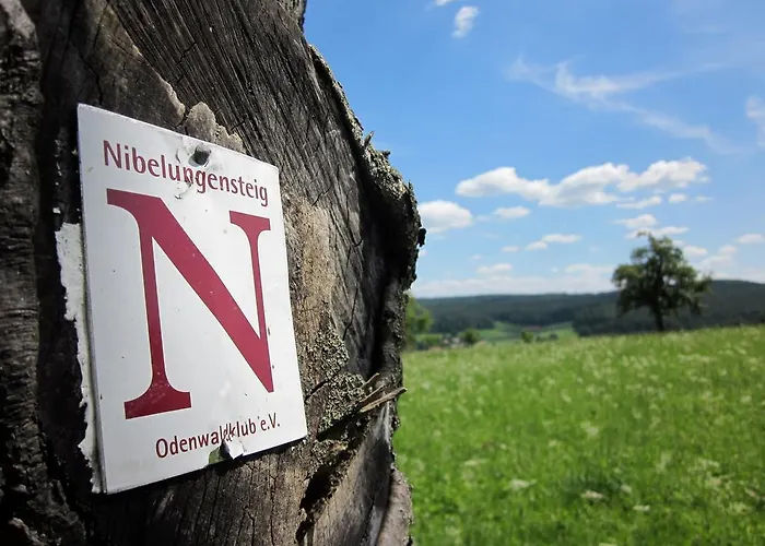 & Wander Gassbachtal Grasellenbach