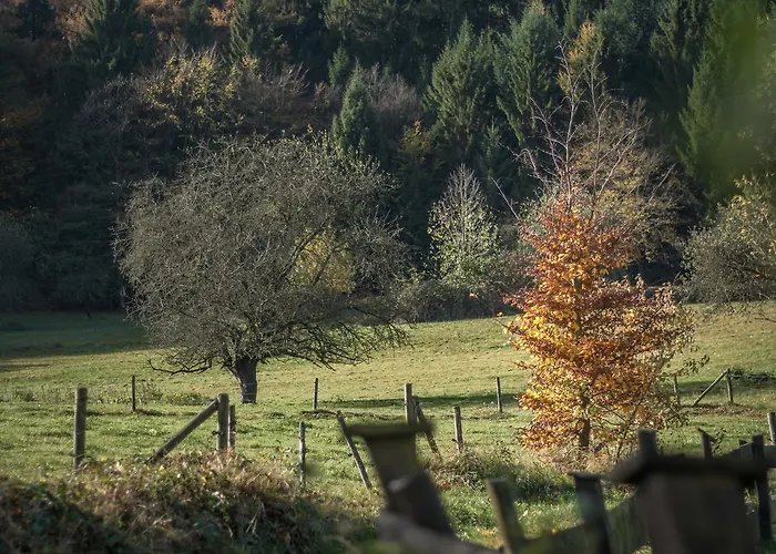 Hotel & Wander Gassbachtal