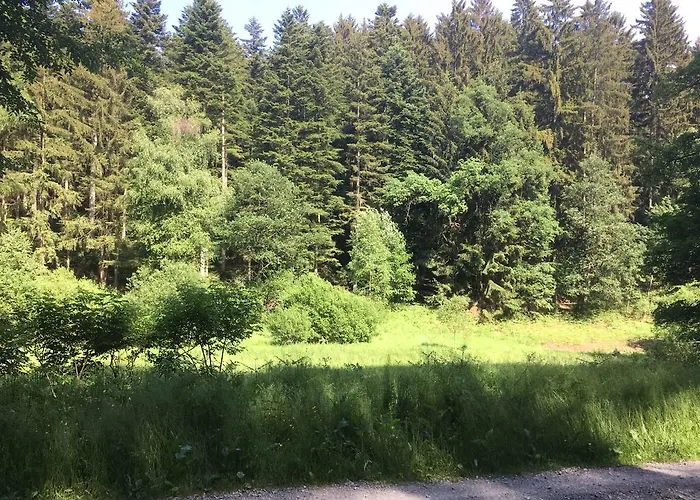 & Wander Gassbachtal