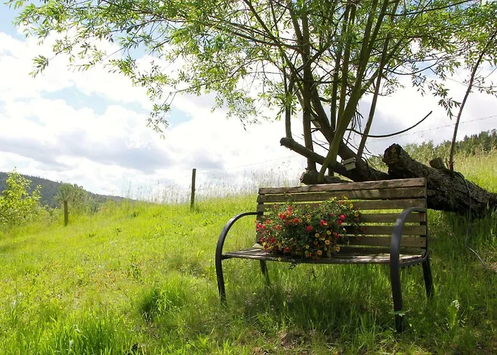 & Wander Gassbachtal Hotel